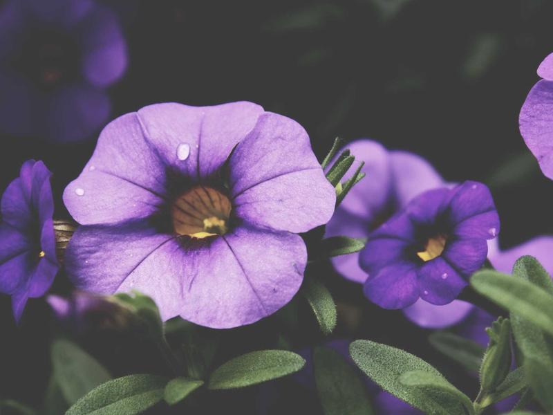 sudoku tips screenshot 5